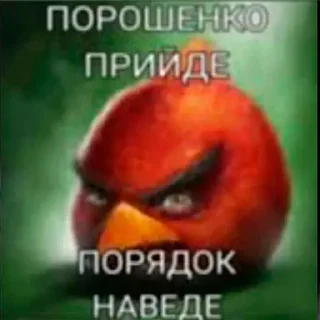 Стикер Интернет-приколы в стиле "мем" - 7