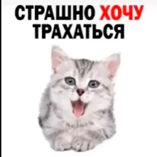 Стикер Интернет-приколы в стиле "мем" - 6