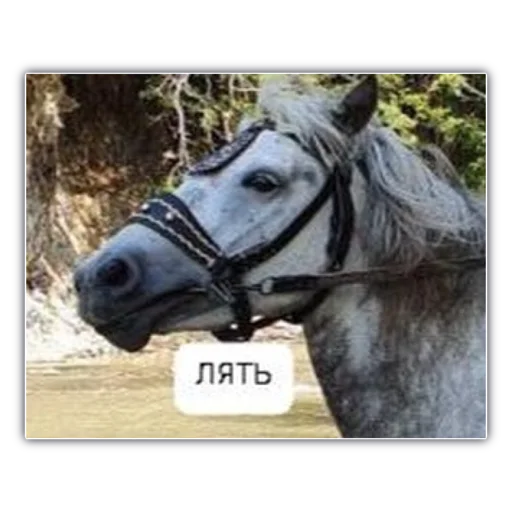 Стикер Мой набор - 11