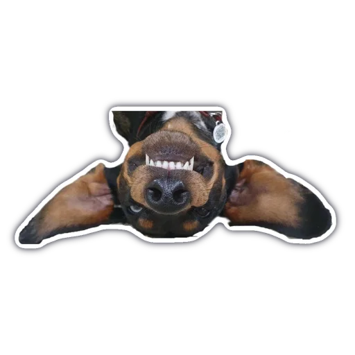 Стикер Мой набор - 8