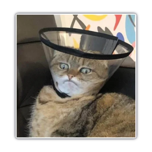 Стикер Мой набор - 6