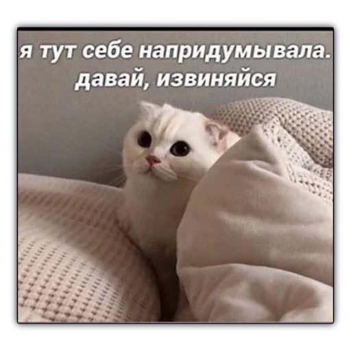 Стикер Мой набор - 5