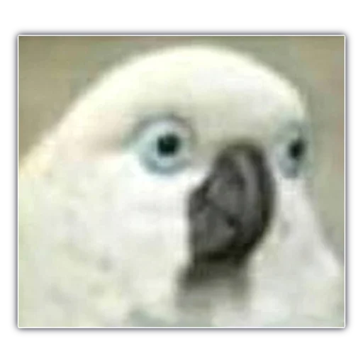 Стикер Мой набор - 4