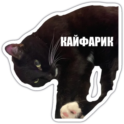 Стикер Мой набор - 11