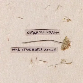 Стикер Больше стиков тут: @stikery4 - 10