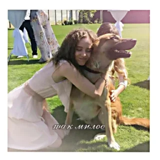 Sticker irinaxpups 💓 - 7