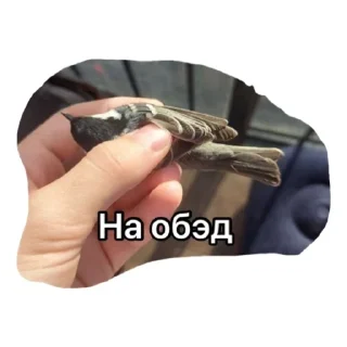 Sticker Иркутчане - 7
