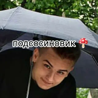 Sticker Дурдом - 3