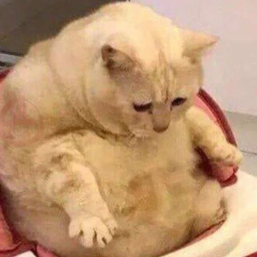 Стикер isergey21 - 1