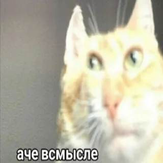 Стикер судорга в 16 - 11