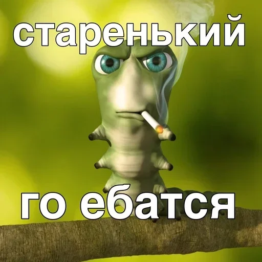 Sticker ishsmrIBKhnFuUal_by_stickers_stealer_bot - 1