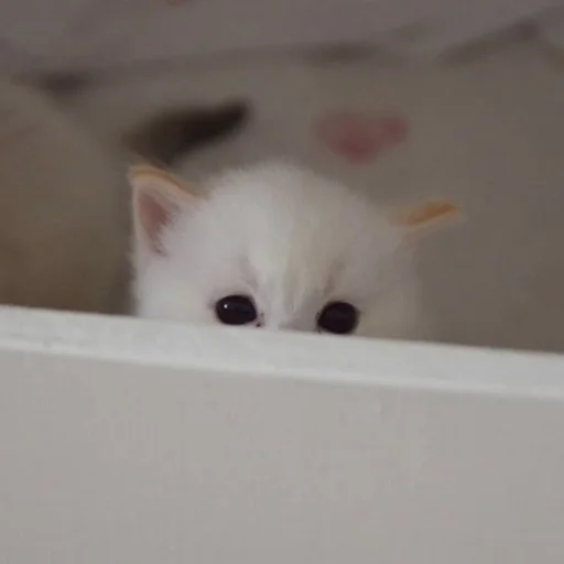 Sticker iskrilya - 1