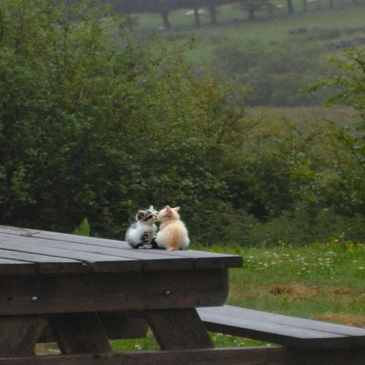 Стикер iskrilya - 1