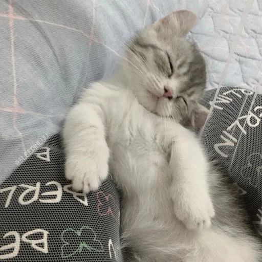 Sticker iskrilya - 1