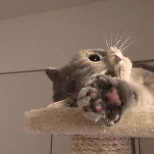 Sticker iskrilya - 1