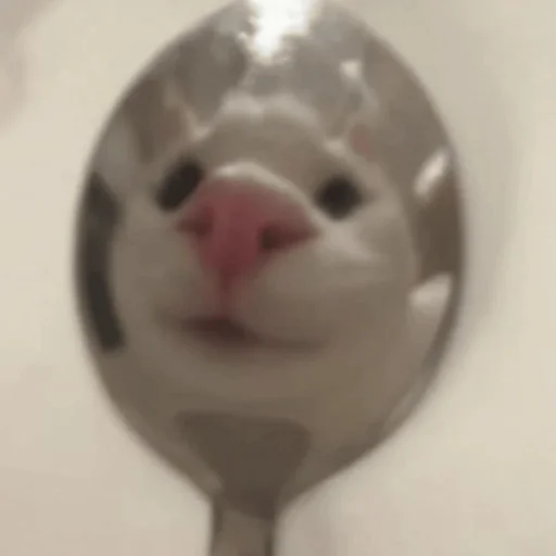 Стикер iskrilya - 1