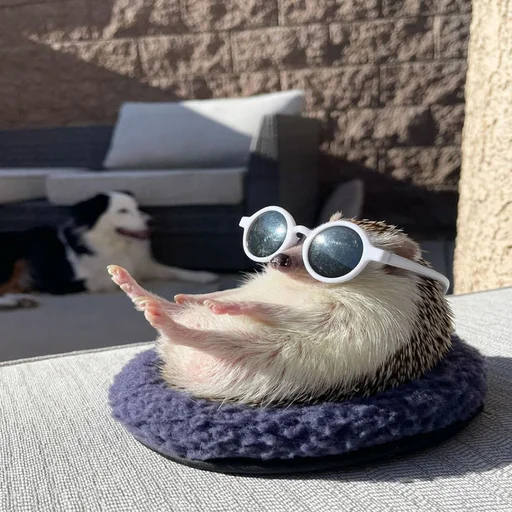 Sticker iskrilya - 1