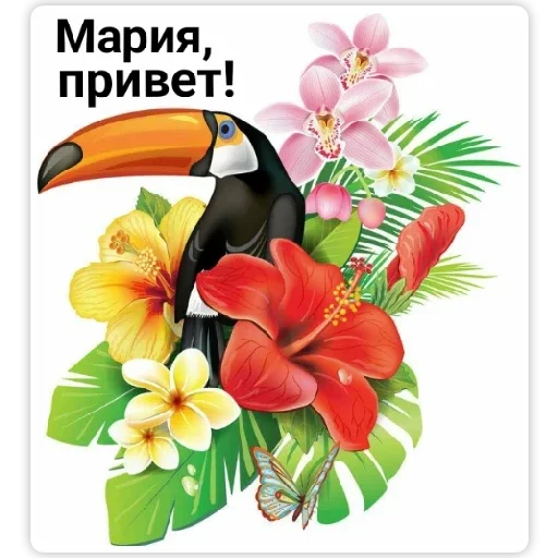 flower toucan animal