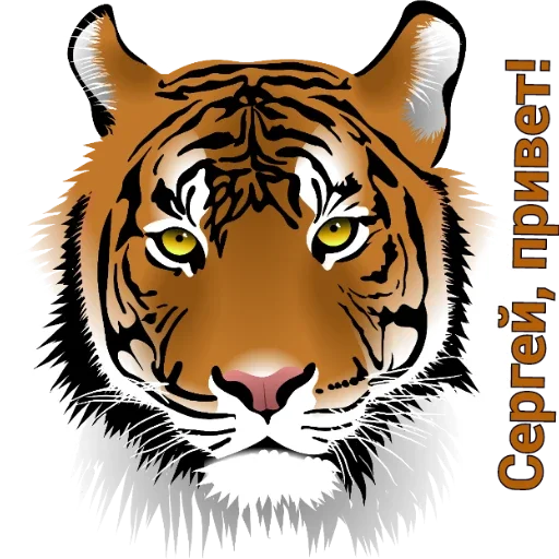 animal mammal big cat