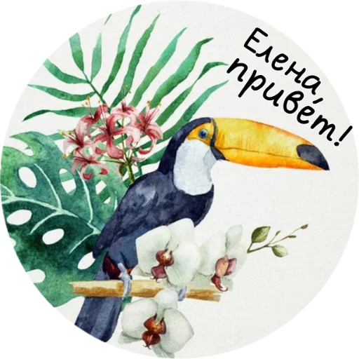 животное птица клюв