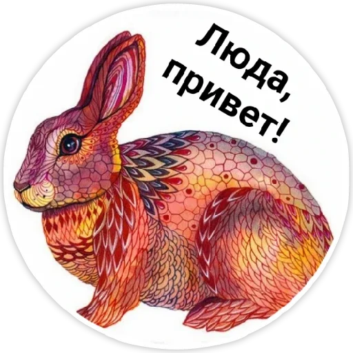 животное млекопитающее кролики и зайцы