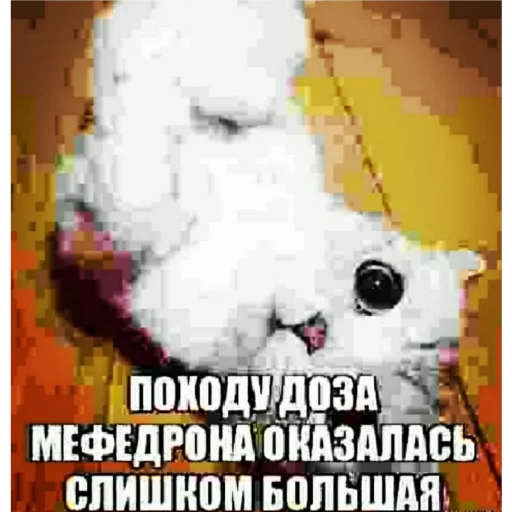 СМС плакат графический дизайн