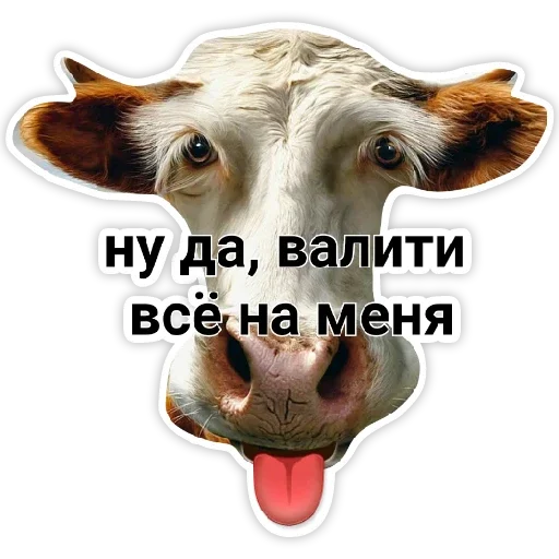 Sticker када - 3
