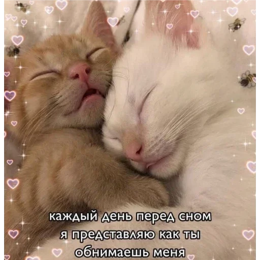 Sticker Автор Пака @Nemin1Air удачи💗✨ - 10