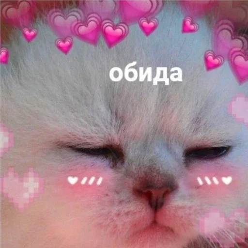 Sticker ПЕРВЫЙ ПАКЕТ - 9