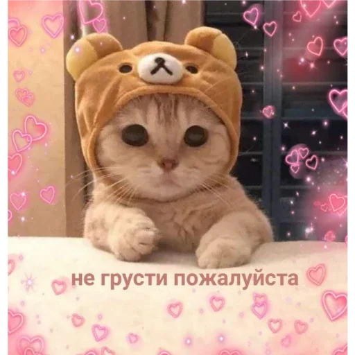 Sticker ПЕРВЫЙ ПАКЕТ - 1