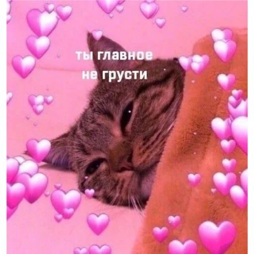 Sticker ПЕРВЫЙ ПАКЕТ - 0