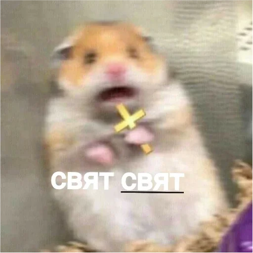 Стикер хомяки - 9