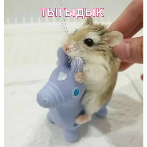 Стикер хомяки - 6