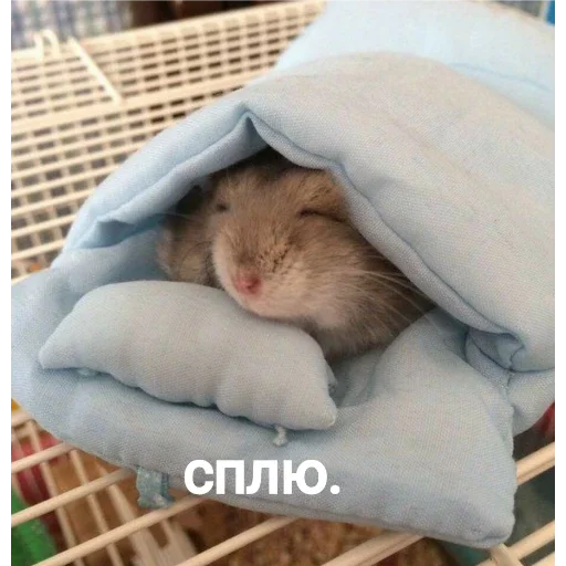 Стикер хомяки - 3