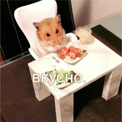 Стикер хомяки - 1