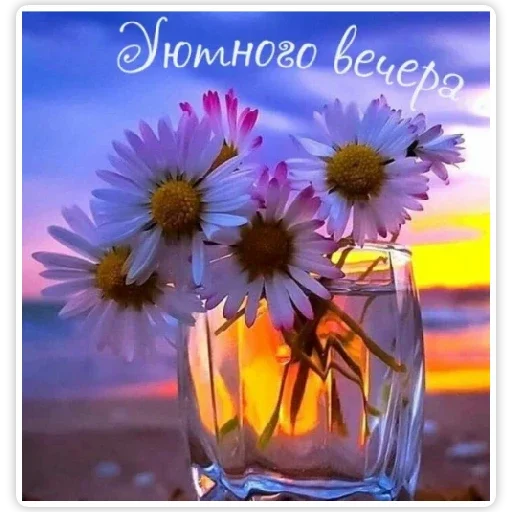 lovecoin😍 - СМС