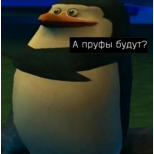 penguin cartoon text