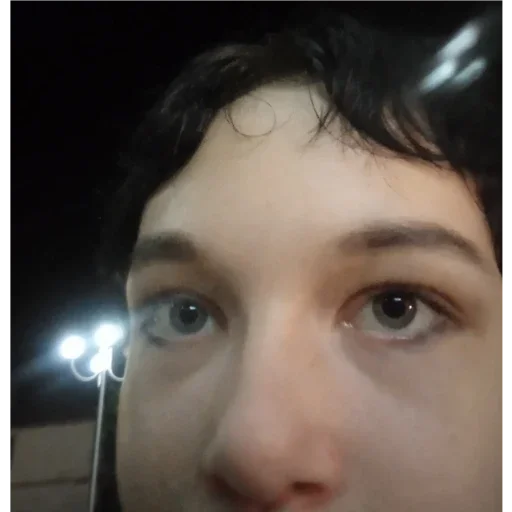 чивонихник - 