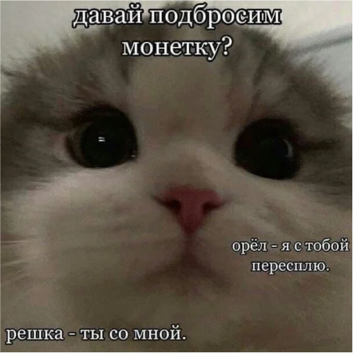 Стикер ПЕРВЫЙ ПАКЕТ - 3