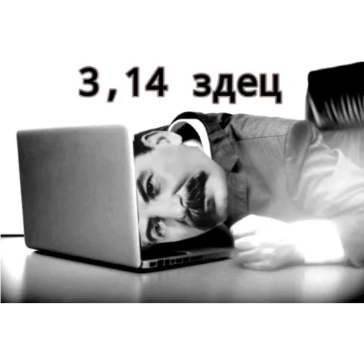 black and white indoor dog