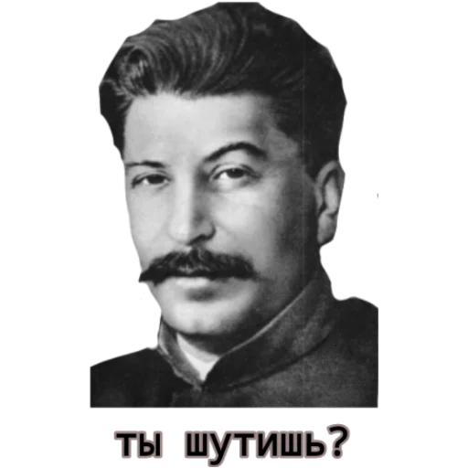 human face portrait man