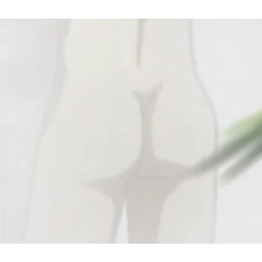 Стикер ПЕРВЫЙ ПАКЕТ - 5