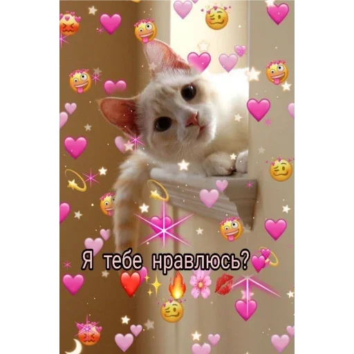 Sticker Пак для моей няшки 💗✨ - 11