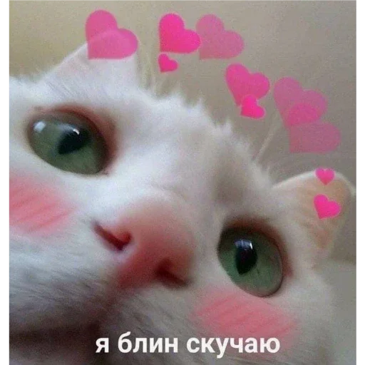 это мы(у нас любовь) - text