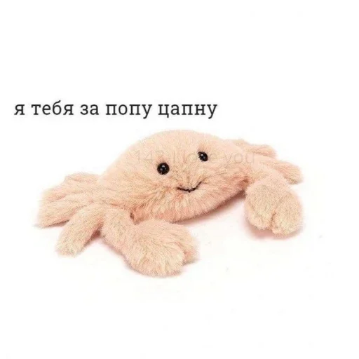 clothing teddy fabric