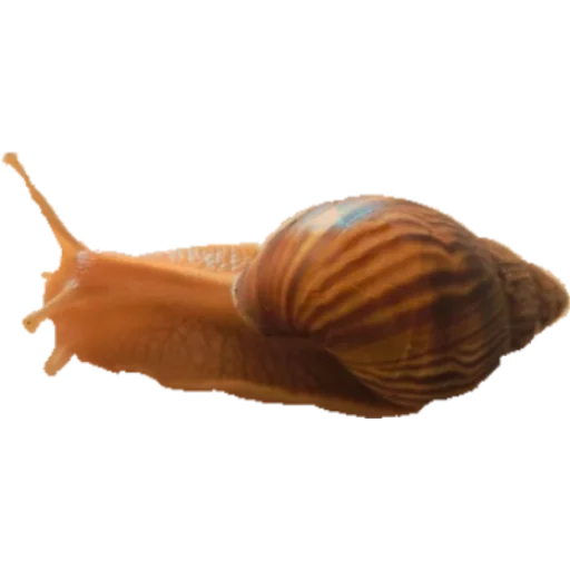 Sticker •°~qwq~°• - 9