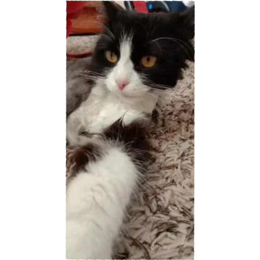 Стикер صجينوثظطينريمرمرز - 8