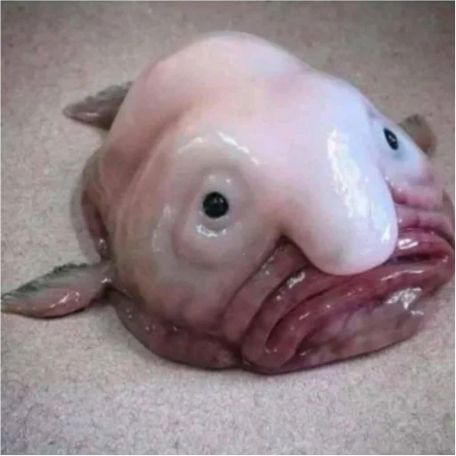 Стикер صجينوثظطينريمرمرز - 2