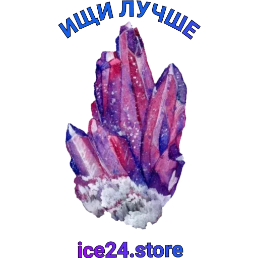 цветок фиолетовый растение