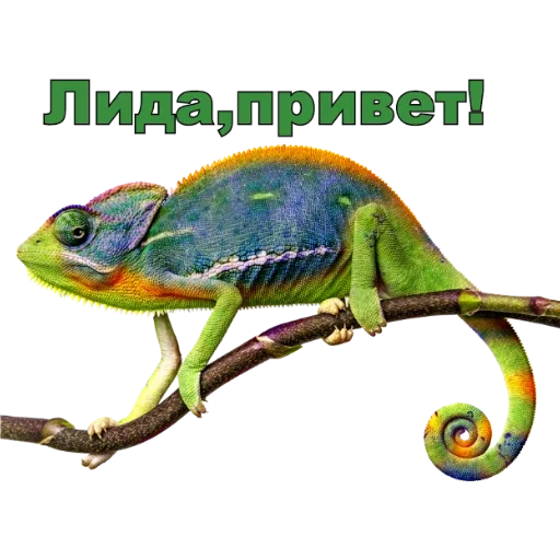 млекопитающее пресмыкающееся животное